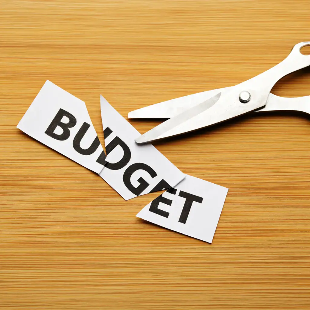 chief procurement officer the problem